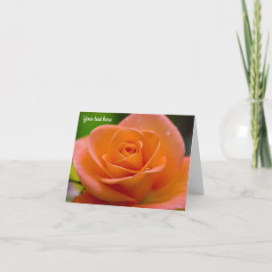 Orangerose nach dem Regen Grußkarte Karte
