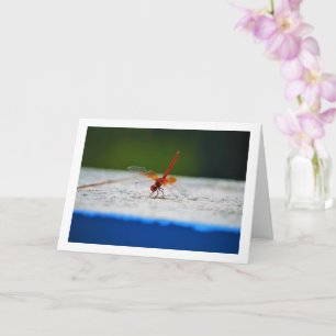 Orangerot geflügelte Dropwing Libelle Karte