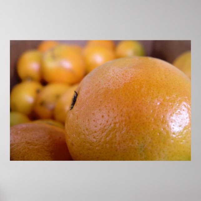 Oranges 2 poster (Vorne)