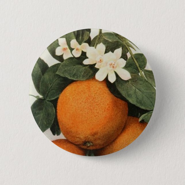 ORANGES Knopf Button (Vorderseite)