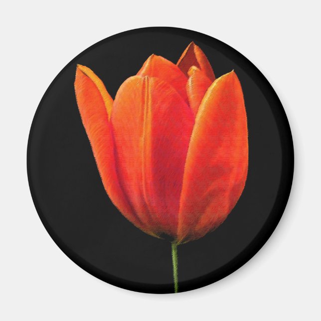 OrangeTulip Magnet (Vorne)