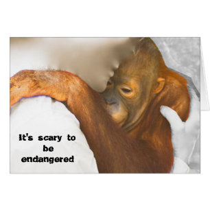 Orangoutan en danger de disparition