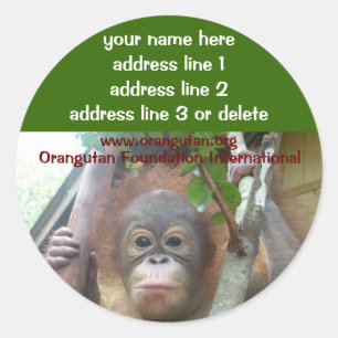 Orangoutan Secouru étiquette de adresse de la faun