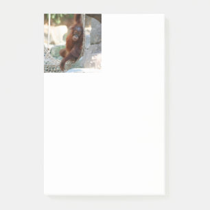 OrangUtan 001 Post-it Klebezettel
