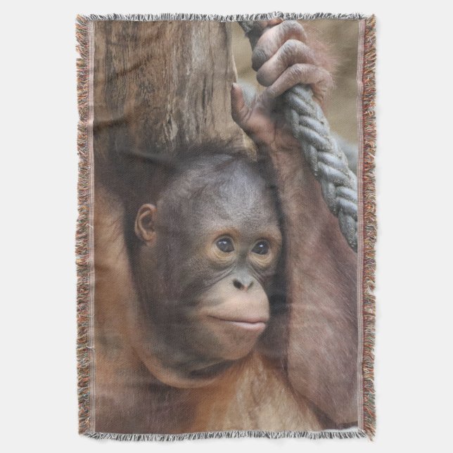 OrangUtan 002 Decke (Vorderseite Vertikal)