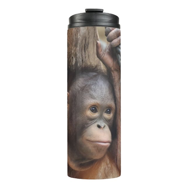 OrangUtan 002 Thermosbecher (Vorderseite)