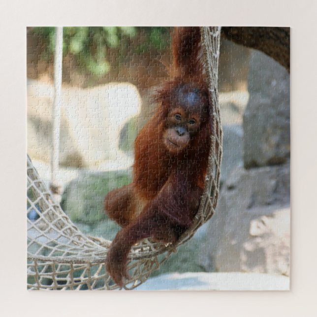 OrangUtan 2020-03-01 (Vertikal)
