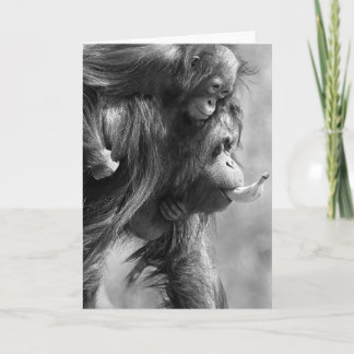 Orangutan#8-Greeting Karte