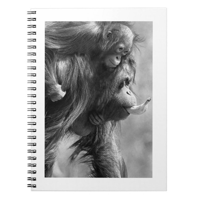 Orangutan#8-Notebook Notizblock (Vorderseite)