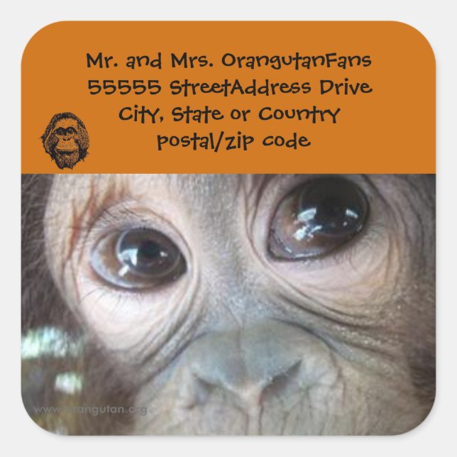 Orangutan-Adressetikett Offizielles Logo Quadratischer Aufkleber (Vorderseite)