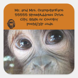 Orangutan-Adressetikett Offizielles Logo Quadratischer Aufkleber