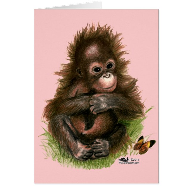 Orangutan Baby and Butterfly (Devant)