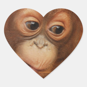 Orangutan Baby Face Herz-Aufkleber