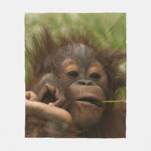 Orangutan Baby Fleecedecke