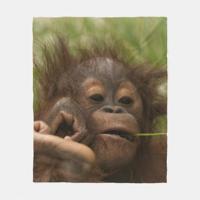 Orangutan Baby Fleecedecke (Vorderseite)