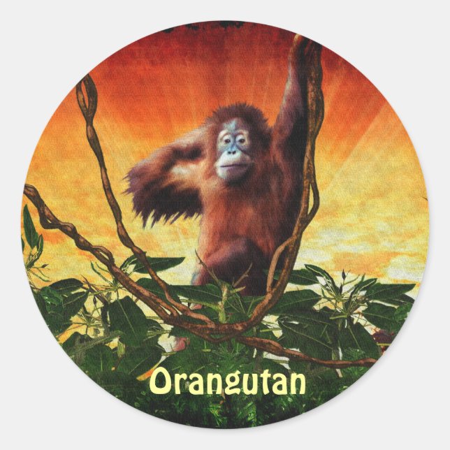 Orangutan Baby & Jungle Great Ape Primat Stickers (Vorderseite)