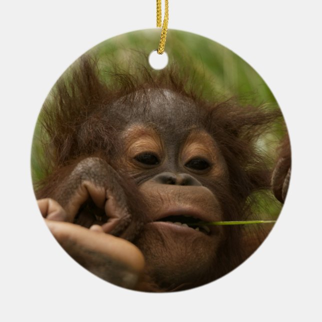 Orangutan Baby Keramik Ornament (Vorne)
