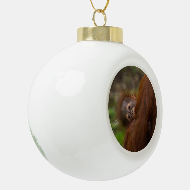 Orangutan Baby mit Flüchtige Blick Keramik Kugel-Ornament (Links)