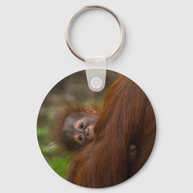Orangutan Baby mit Flüchtige Blick Schlüsselanhänger (Vorderseite)