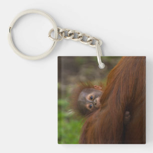 Orangutan Baby mit Flüchtige Blick Schlüsselanhänger