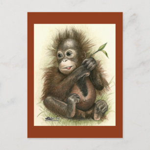 Orangutan Baby With Leaves Postkarte