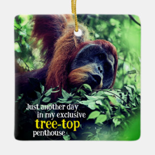 Orangutan entspannend in Baum Keramikornament