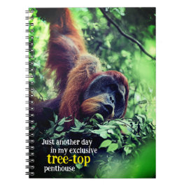 Orangutan entspannend in Baum Notizblock