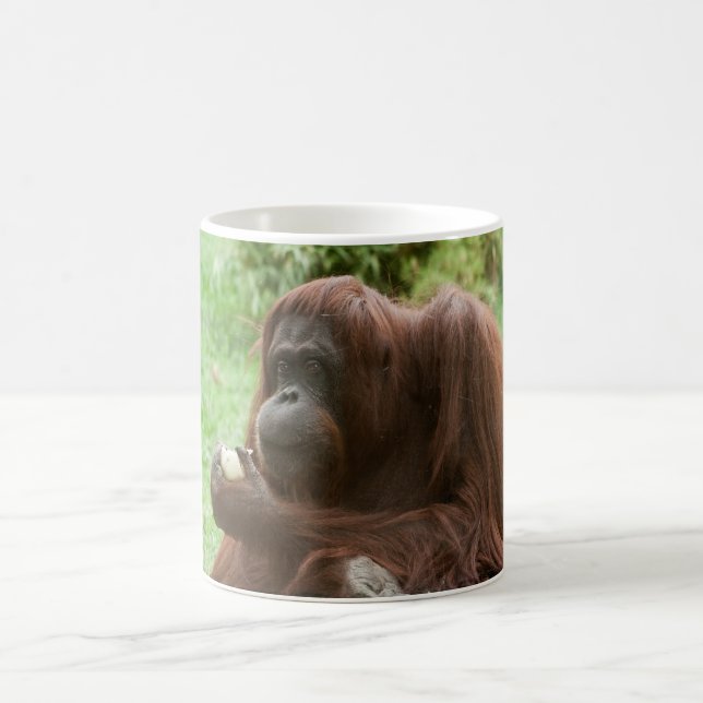 Orangutan essen kaffeetasse (Mittel)