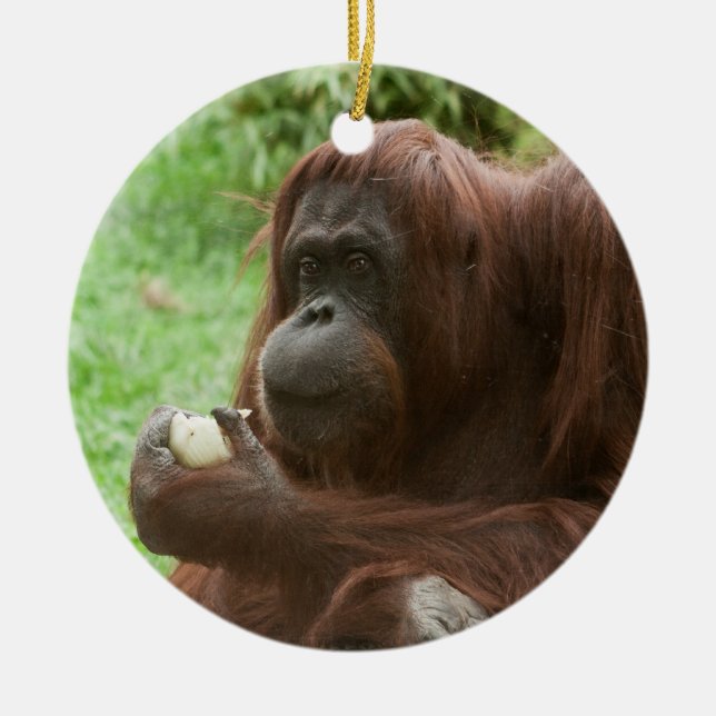 Orangutan essen keramik ornament (Vorne)