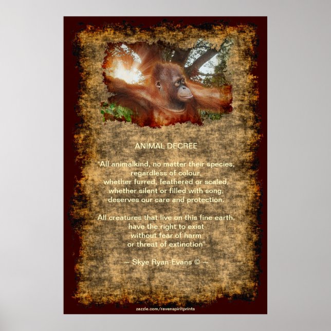 Orangutan gefährdete Wildtiere Dekret Poster (Vorne)