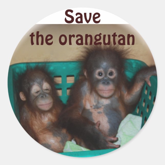 Orangutan gerettet runder aufkleber (Vorderseite)