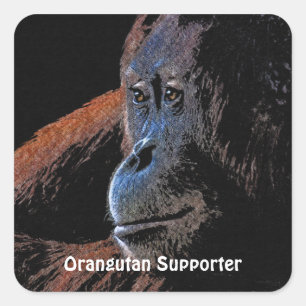 Orangutan Great Ape Primat Stickers