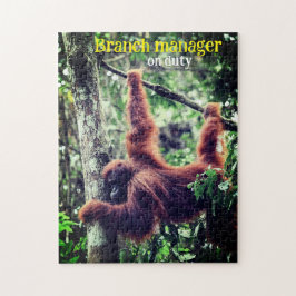 Orangutan hängt in Baum