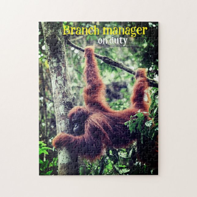 Orangutan hängt in Baum (Vertikal)