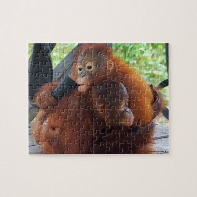 Orangutan Jungle Hugs (Horizontal)