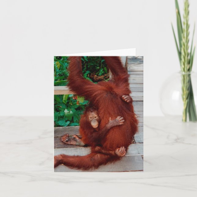 Orangutan Karte (Vorderseite)
