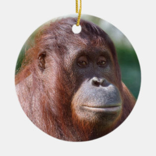 Orangutan Lady Keramikornament