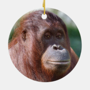 Orangutan Lady Keramikornament