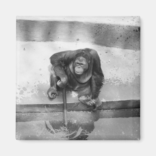 Orangutan Magnet (Vorne)