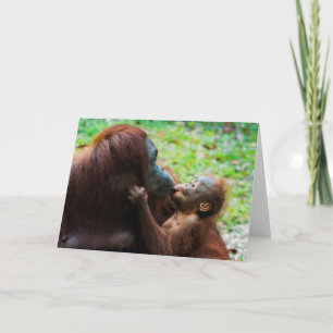 Orangutan Mutter mit Baby Karte
