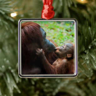 Orangutan Mutter mit Baby Ornament Aus Metall