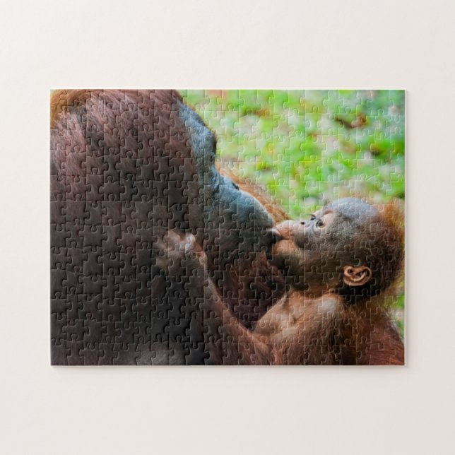 Orangutan Mutter und Kind (Horizontal)