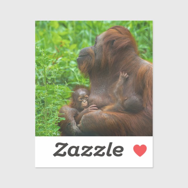 Orangutan Mutter und Säuglinge Aufkleber (Blatt)