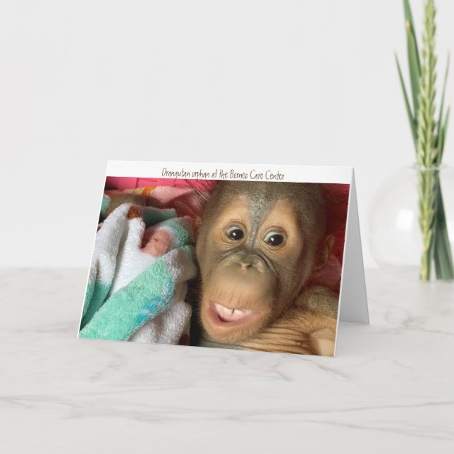 Orangutan Orphan Rescue - im Borneo Care Center Karte (Vorderseite)