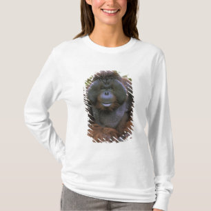 Orangutan Pongo Pygmaeus T-Shirt