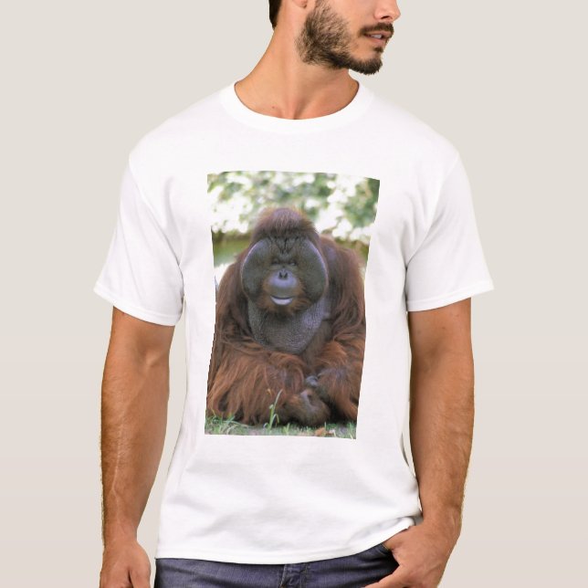Orangutan Pongo Pygmaeus T-Shirt (Vorderseite)