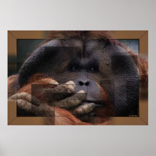 Orangutan Print Poster