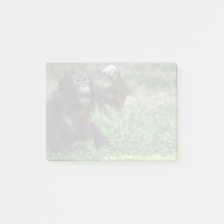 Orangutan Rotte im Zoo Post-it Klebezettel