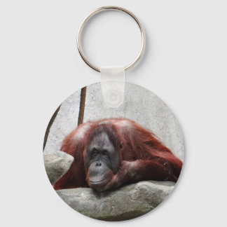 Orangutan Schlüsselanhänger