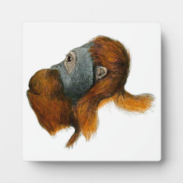 Orangutan Tabletop Plaque mit Easel Fotoplatte